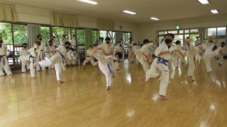 2022-08-20_100159.jpg
