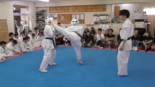 2024-06-23_115530(2).jpg