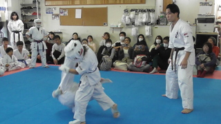 2024-12-08_114051.jpg
