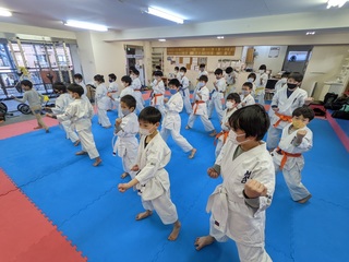 PXL_20220307_081308865.jpg