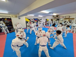 PXL_20241227_084636768.jpg