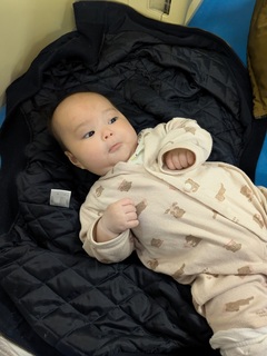 PXL_20250307_085613639.MP.jpg